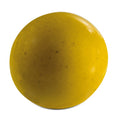 Half Sphere Mold Kit - 4 Pieces